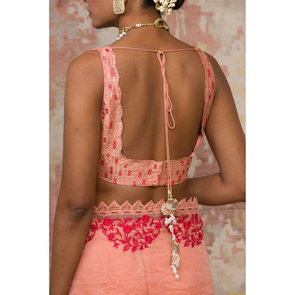 Devnaagri Blush Silk Organza Saree with Stitched Blouse (Set of 2)