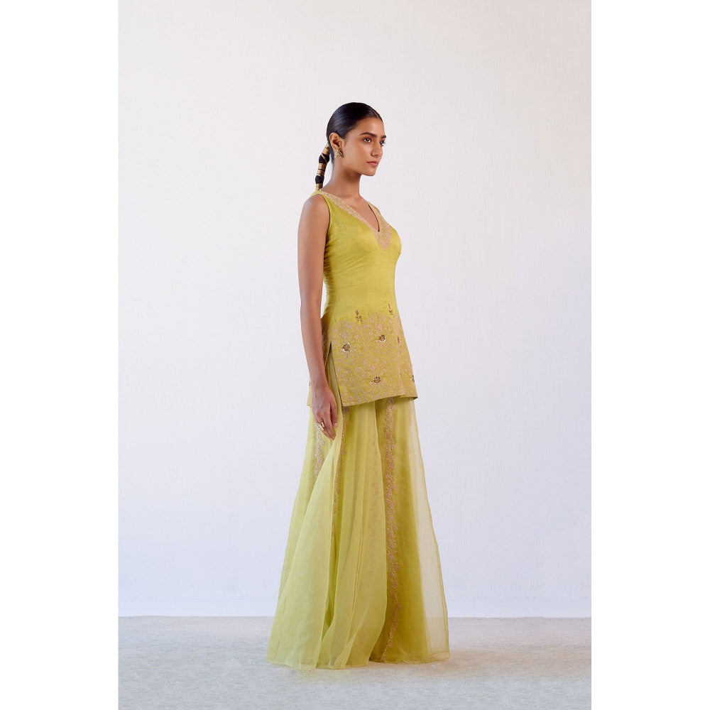 Devnaagri Lime Green Embroidered Kurta and Sharara with Dupatta (Set of 3)