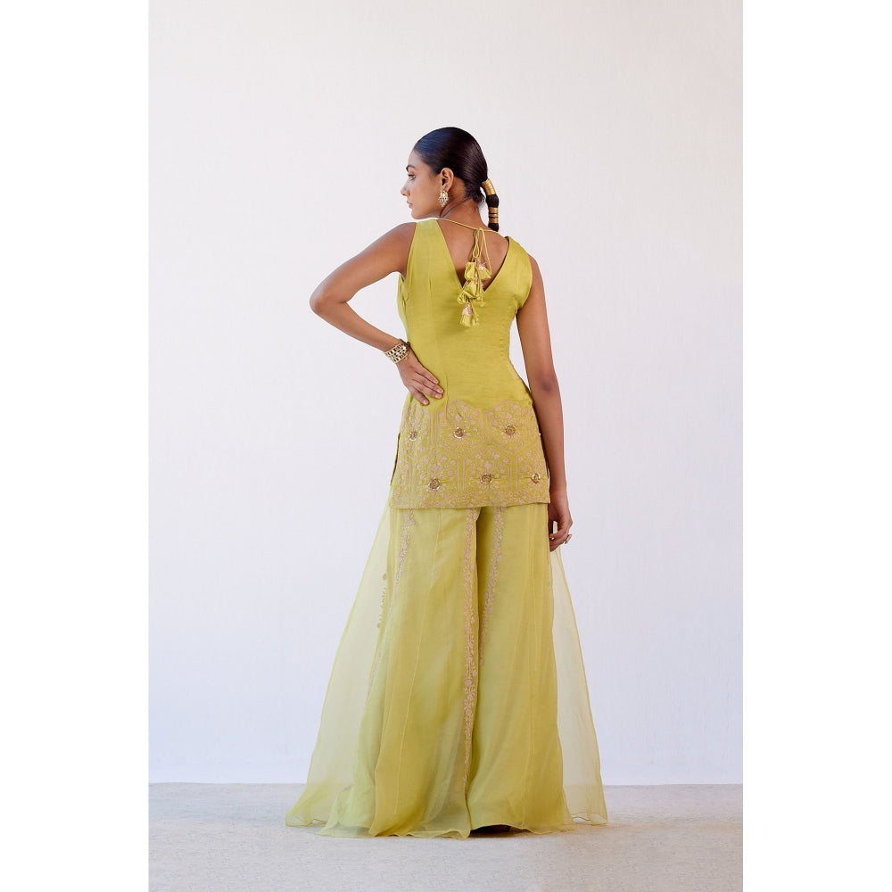 Devnaagri Lime Green Embroidered Kurta and Sharara with Dupatta (Set of 3)