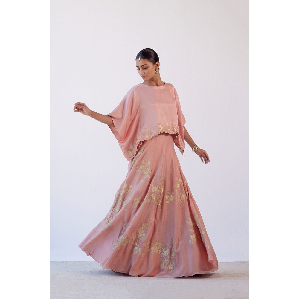Devnaagri Rose Pink Hand Painted Cape Skirt and Top (Set of 2)