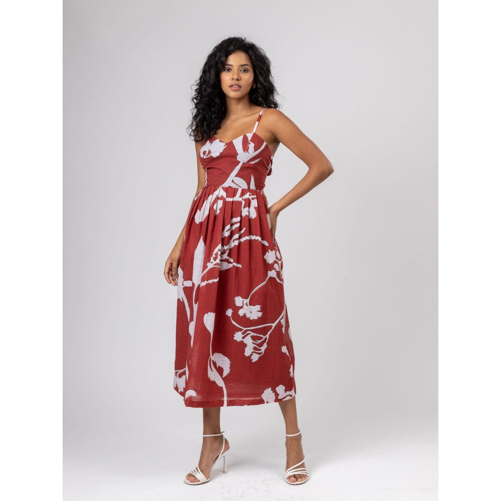 Doodlage Mary Printed Dress