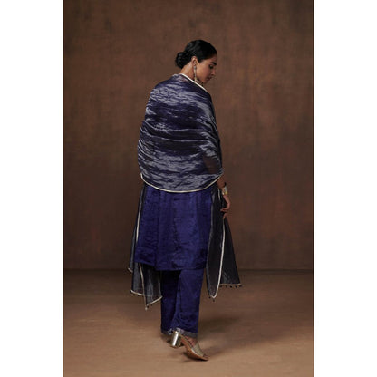 Dressfolk Blue Tissue Kalidar Kurta Subtle Elegance (Set of 3)