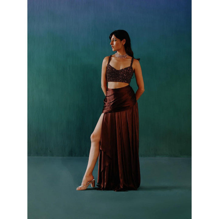 DRISHTI CHHABRAA Brown Crop Top & Skirt (Set of 2)