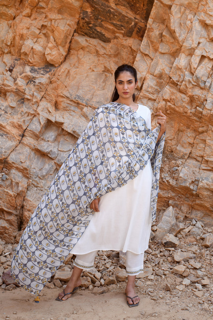 White Suit Set With Printed Organza Dupatta-Blue (Set Of 3)