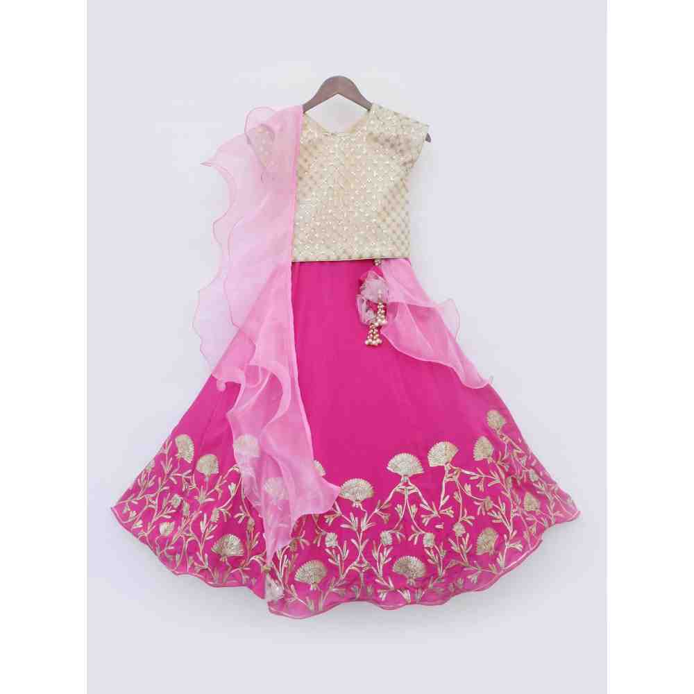 Fayon Kids Golden Sequins Choli with Hot Pink Lehenga Set (0-6 Months)