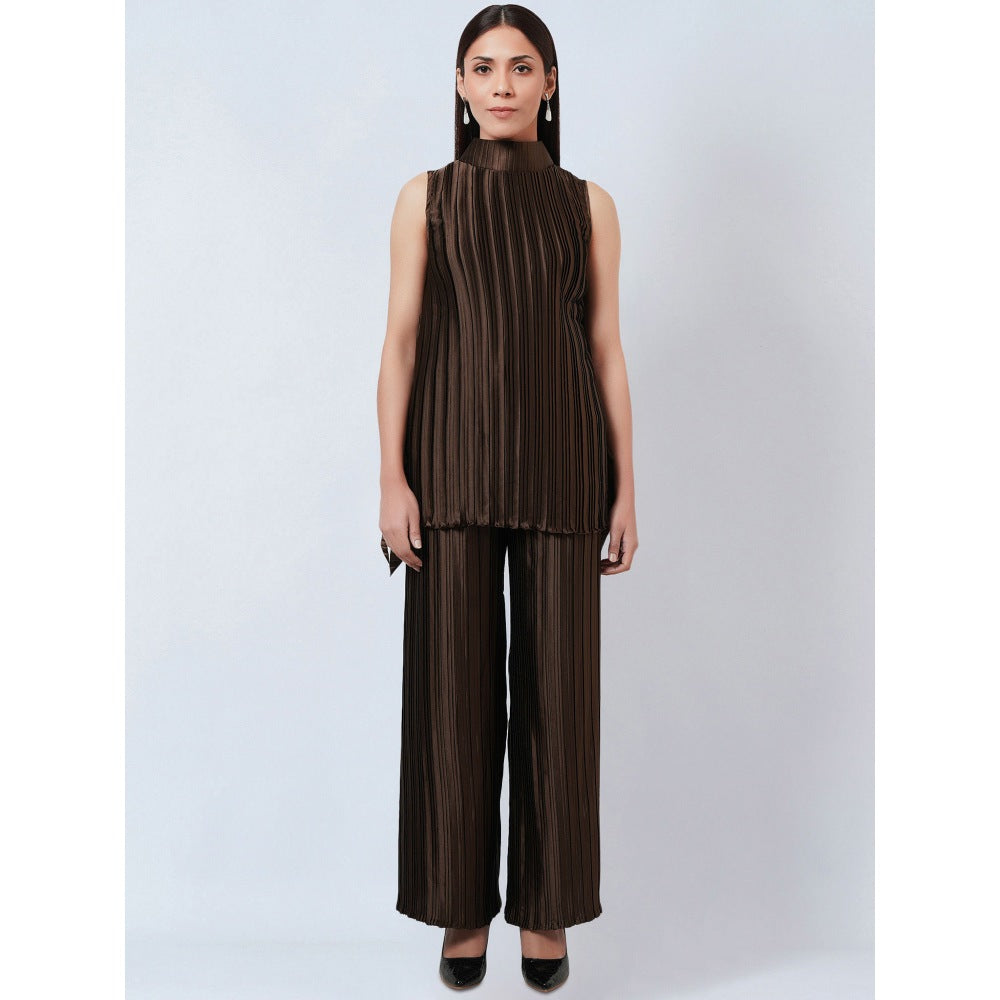 First Resort by Ramola Bachchan Brown Sleeveless Turtle Neck Box Pleated Top