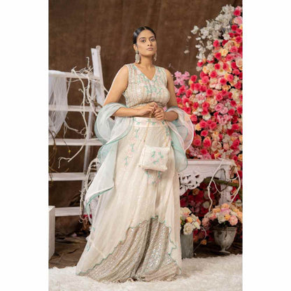 Farha Syed Multi-Colour Indowestern Dress (Set of 4)