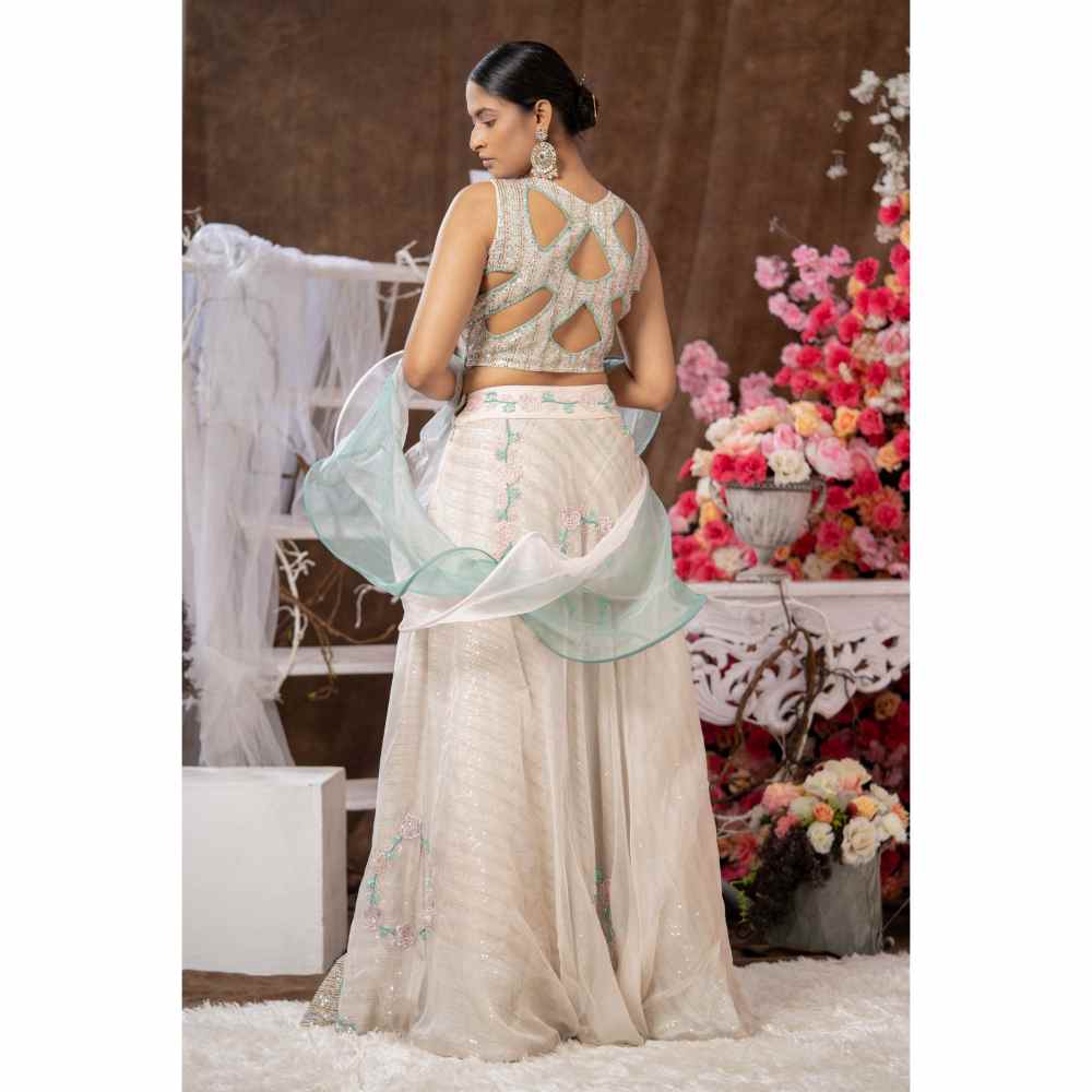 Farha Syed Multi-Colour Indowestern Dress (Set of 4)