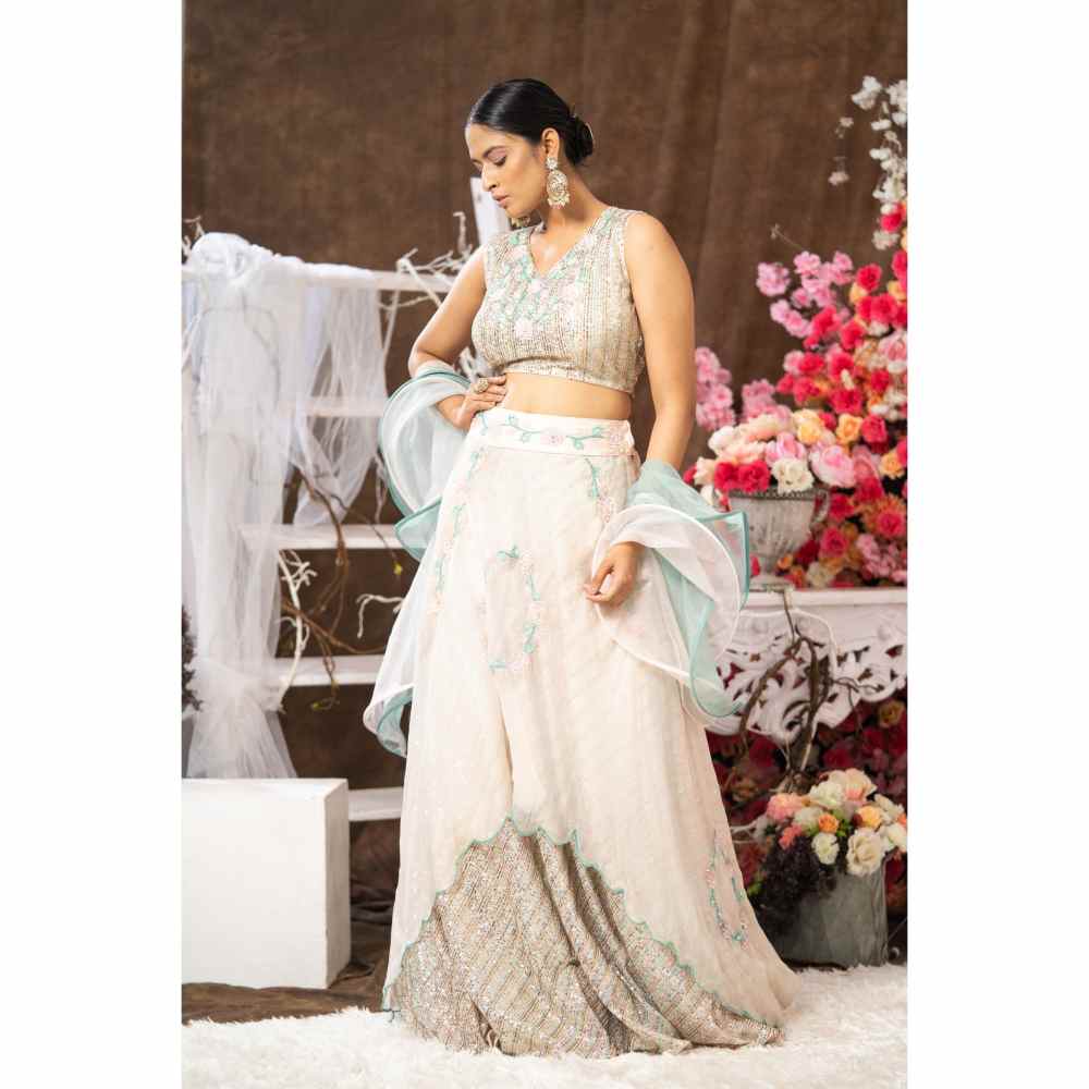 Farha Syed Multi-Colour Indowestern Dress (Set of 4)