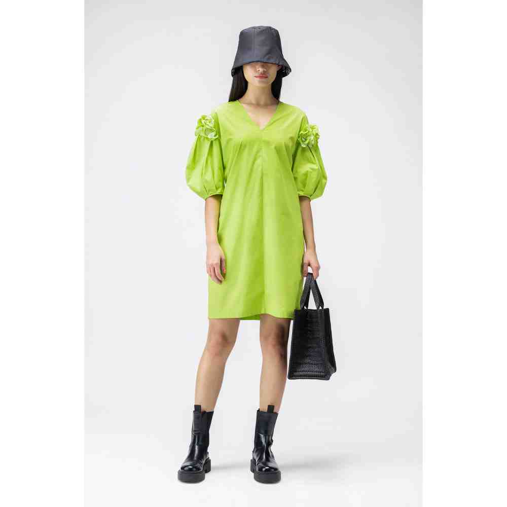 Genes Lecoanet Hemant 3D Floral Embroidered Dress With Darts