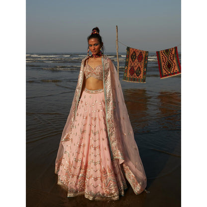 Gopi Vaid Pink Layla Panelled Lehenga Cape (Set of 3)