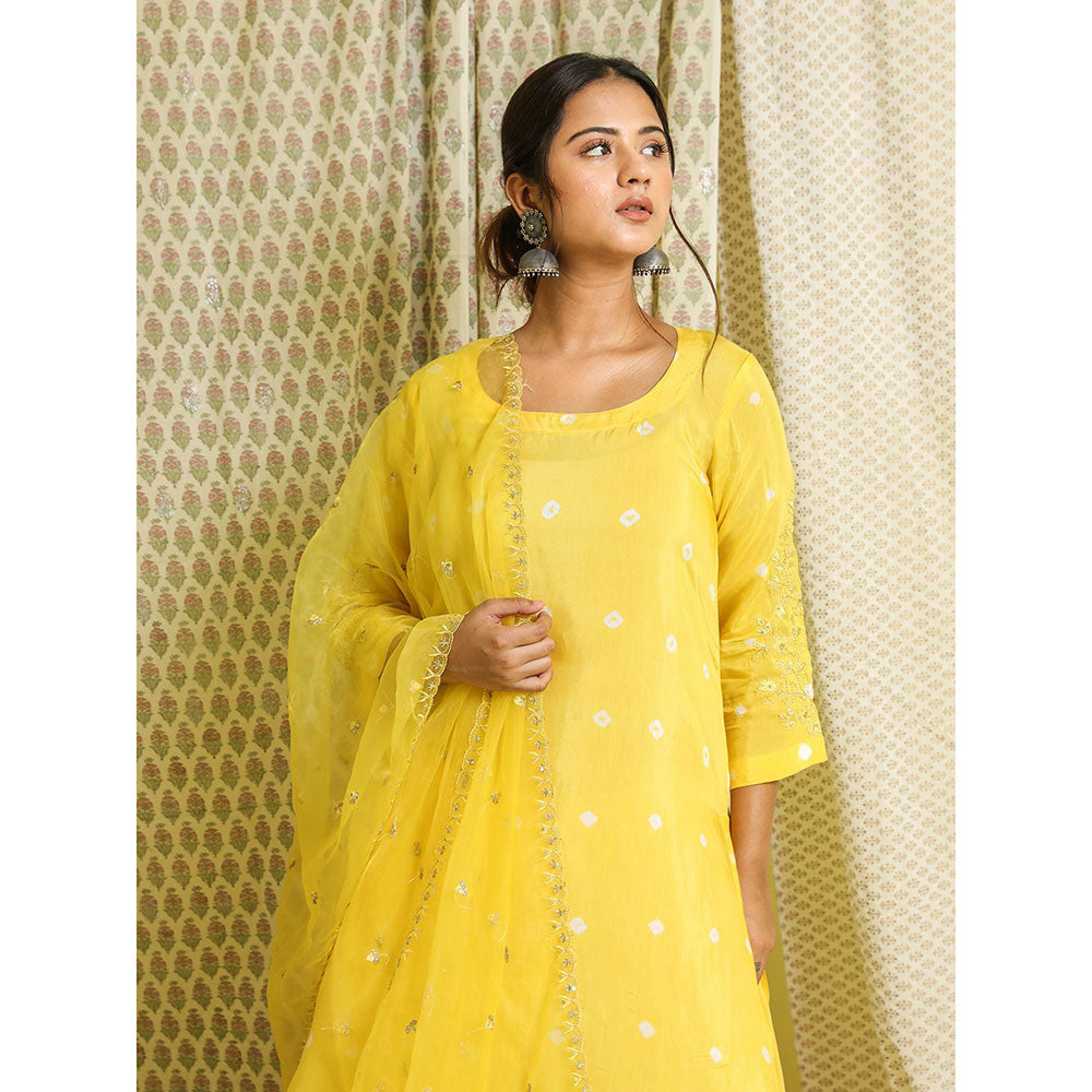 Gulabo Jaipur Yellow Embroidered Kurta And Pant With Dupatta (Set of 3)