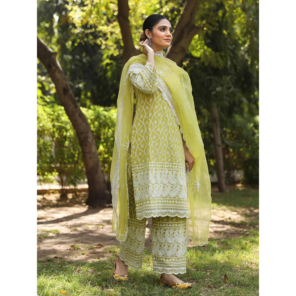 Gulabo Jaipur Green Cotton Kurta With Pant & Organza Dupatta (Set of 3)