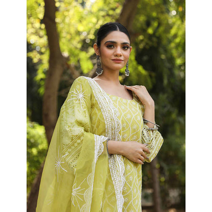 Gulabo Jaipur Green Cotton Kurta With Pant & Organza Dupatta (Set of 3)