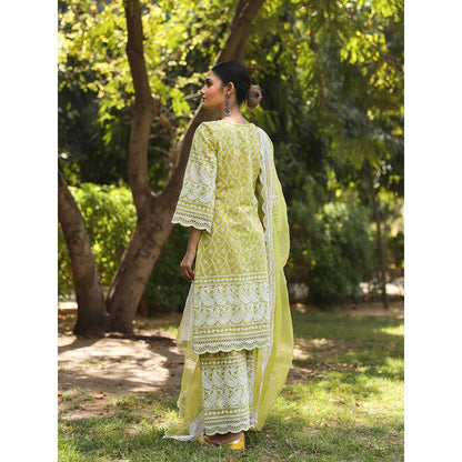 Gulabo Jaipur Green Cotton Kurta With Pant & Organza Dupatta (Set of 3)