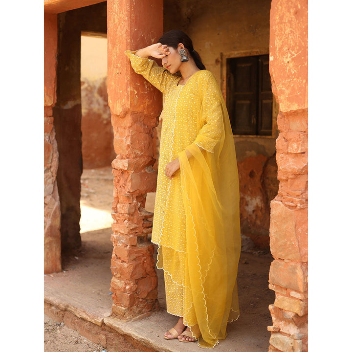 Gulabo Jaipur Yellow Chikan Kurta, Inner With Pant & Organza Dupatta (Set of 4)