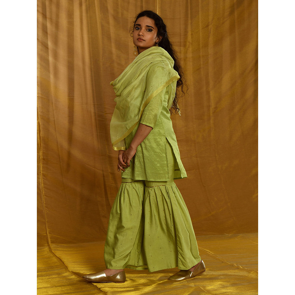 Gulaal Rudrama Kurta Sharara (Set of 3)