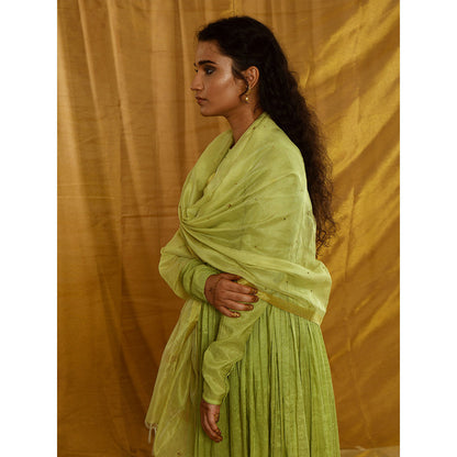 Gulaal Prakriti Tissue Chanderi Maxi Dress With Dupatta (Set of 2)
