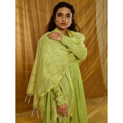 Gulaal Prakriti Tissue Chanderi Maxi Dress With Dupatta (Set of 2)