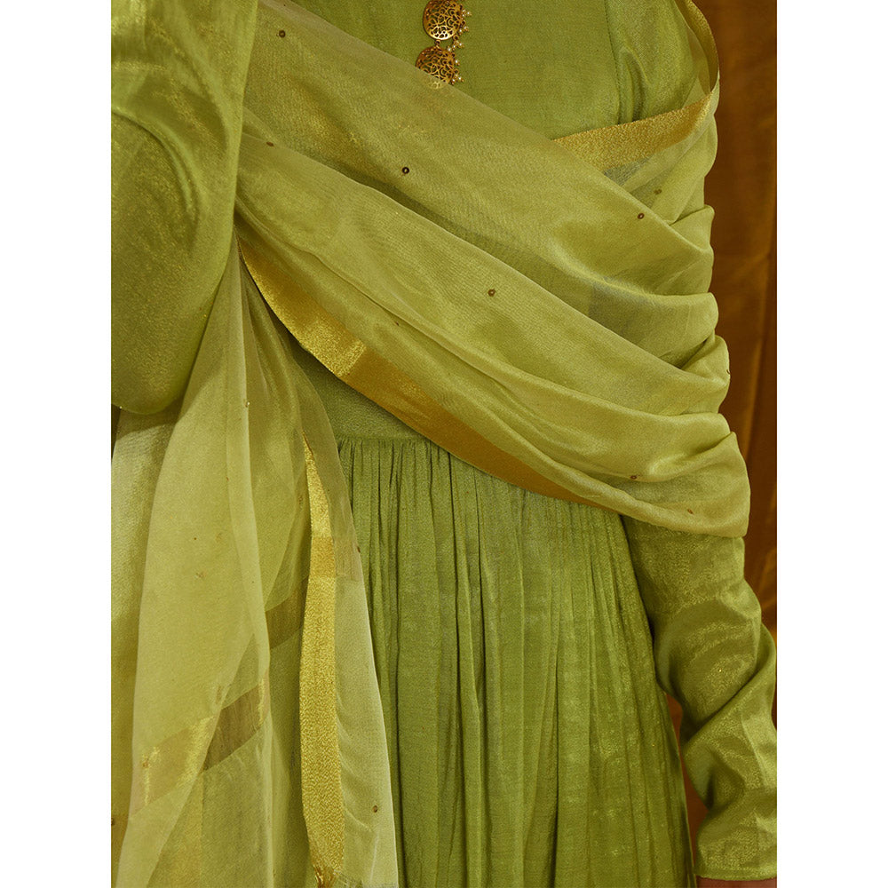 Gulaal Prakriti Tissue Chanderi Maxi Dress With Dupatta (Set of 2)