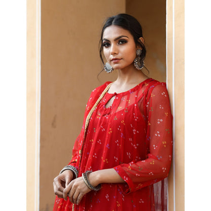 Gulabo Jaipur Gomti Red (Set of 4)