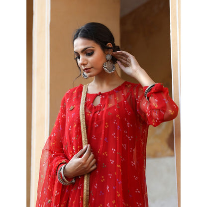 Gulabo Jaipur Gomti Red (Set of 4)