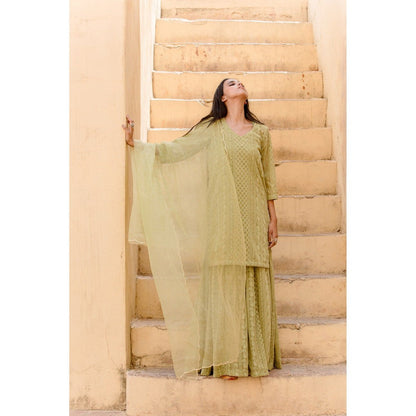Gulabo Jaipur Lotus Green Sharara (Set of 3)