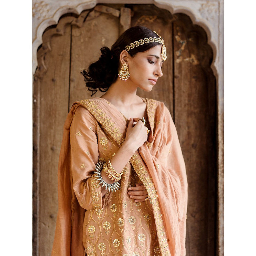 Gulabo Jaipur Sweta Brown Kurta (Set of 3)