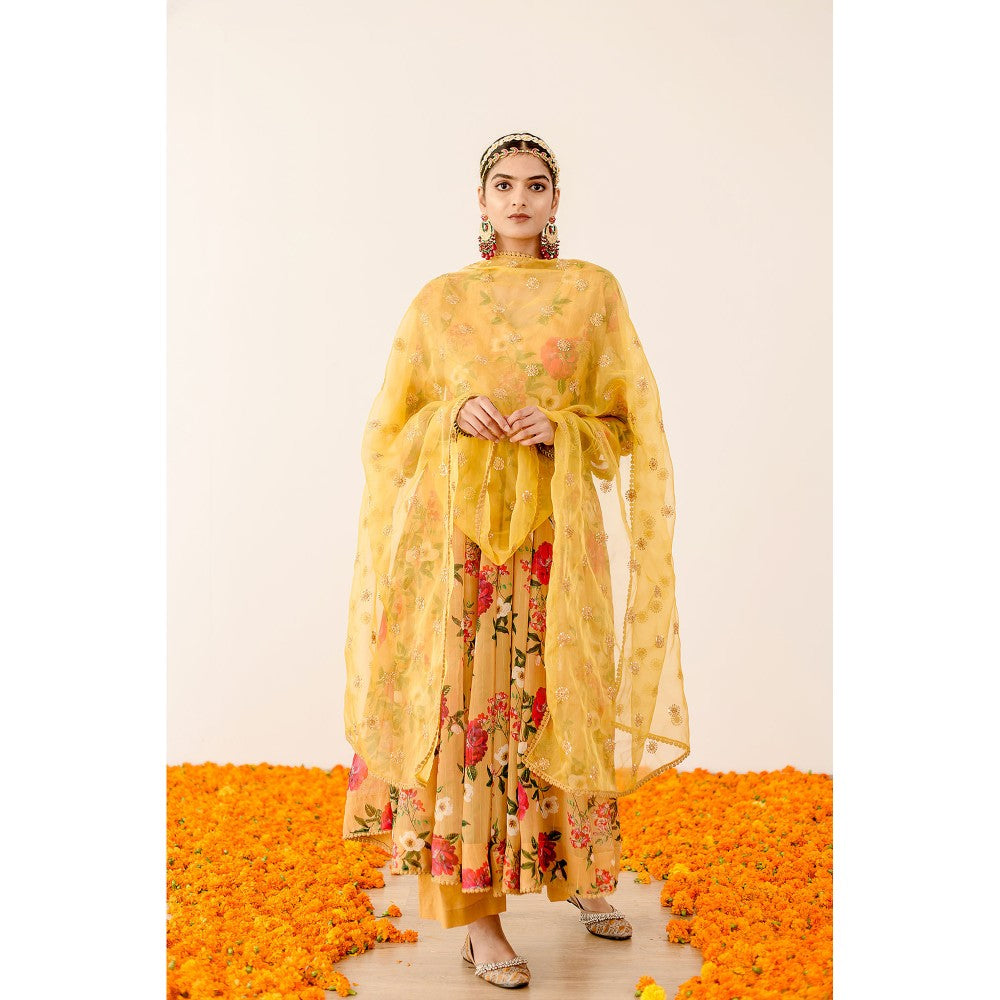 Gulabo Jaipur Ruby Yellow Anarkali (Set of 3)