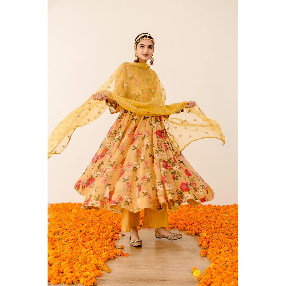 Gulabo Jaipur Ruby Yellow Anarkali (Set of 3)
