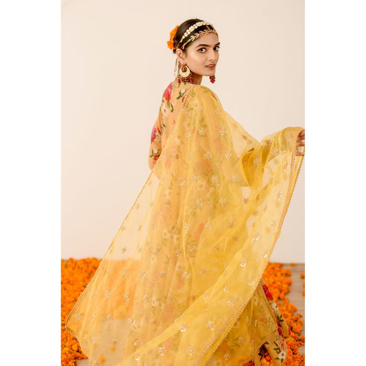 Gulabo Jaipur Ruby Yellow Anarkali (Set of 3)