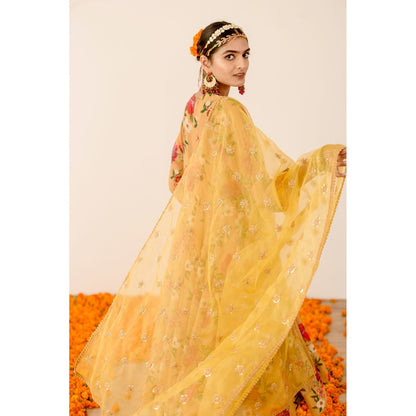 Gulabo Jaipur Ruby Yellow Anarkali (Set of 3)