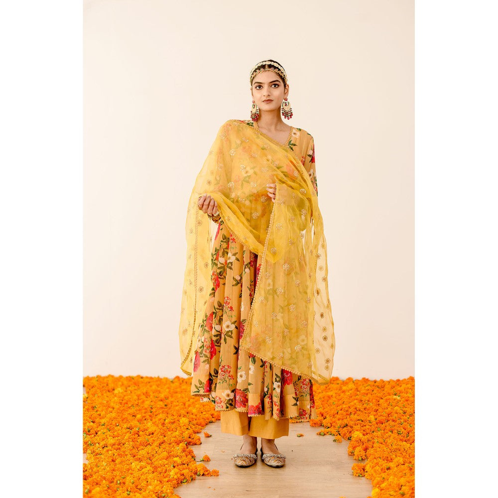 Gulabo Jaipur Ruby Yellow Anarkali (Set of 3)