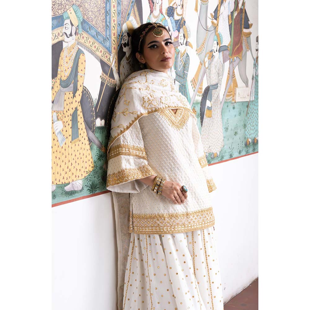 Gulabo Jaipur Poornima Sharara (Set of 3)