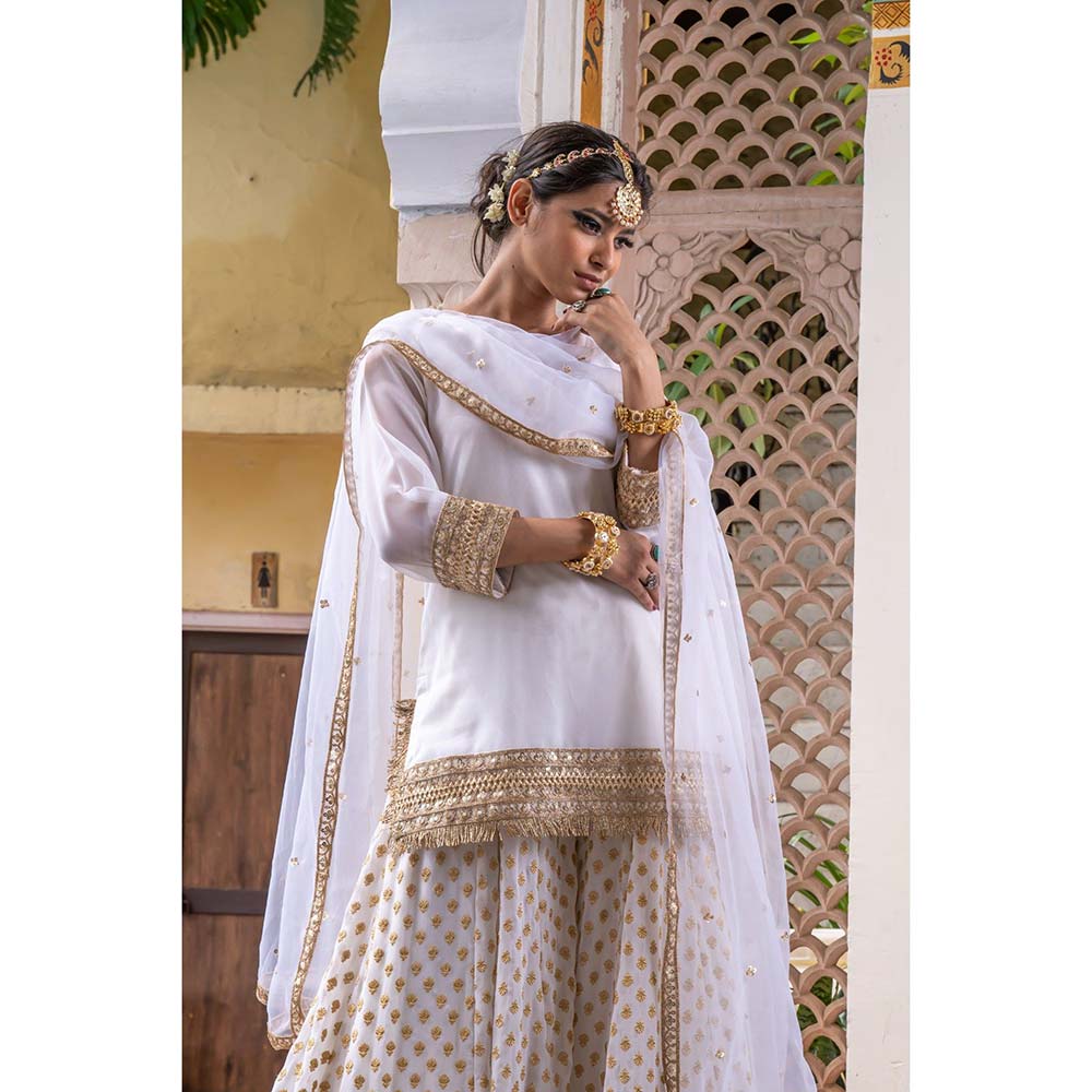 Gulabo Jaipur Srishti Sharara (Set of 3)