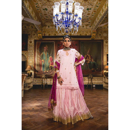 Gulabo Jaipur Imama Pink Sharara (Set of 3)