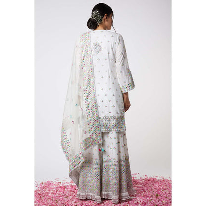 Gopi Vaid Noor Sharara (Set of 3)