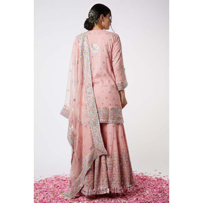 Gopi Vaid Noor Sharara (Set of 3)