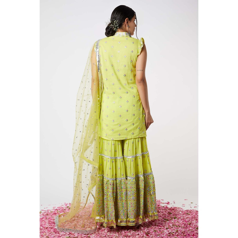 Gopi Vaid Noor Sleeveless Sharara (Set of 3)