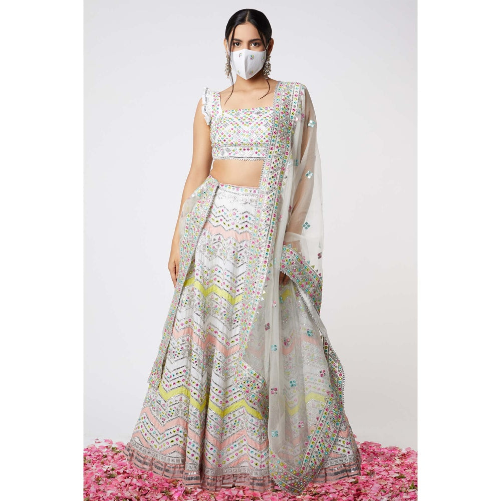 Gopi Vaid Noor Chevron Lehenga (Set of 3)