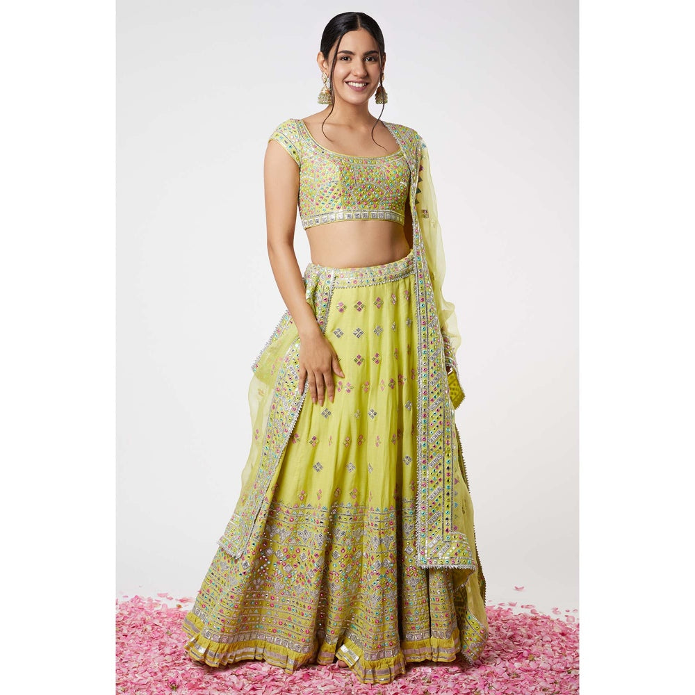 Gopi Vaid Noor Lehenga (Set of 3)