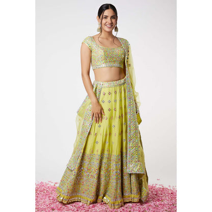 Gopi Vaid Noor Lehenga (Set of 3)