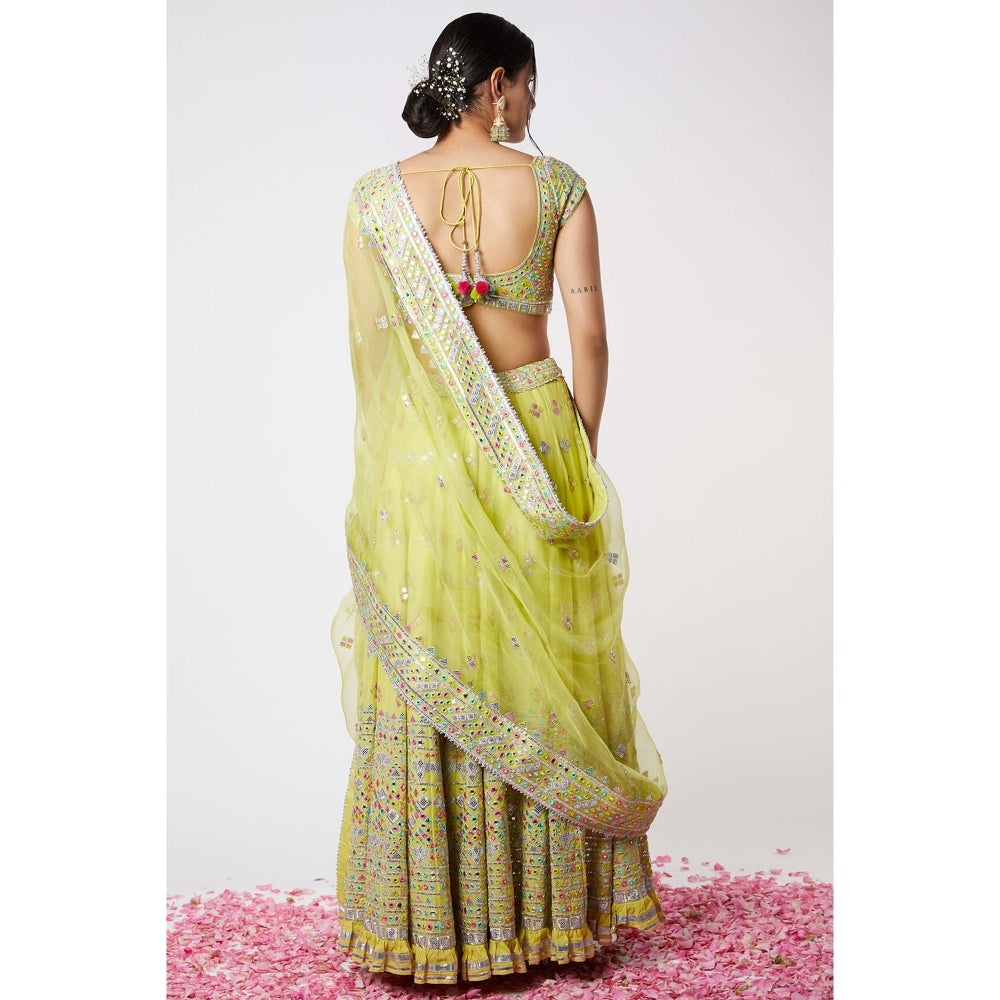 Gopi Vaid Noor Lehenga (Set of 3)