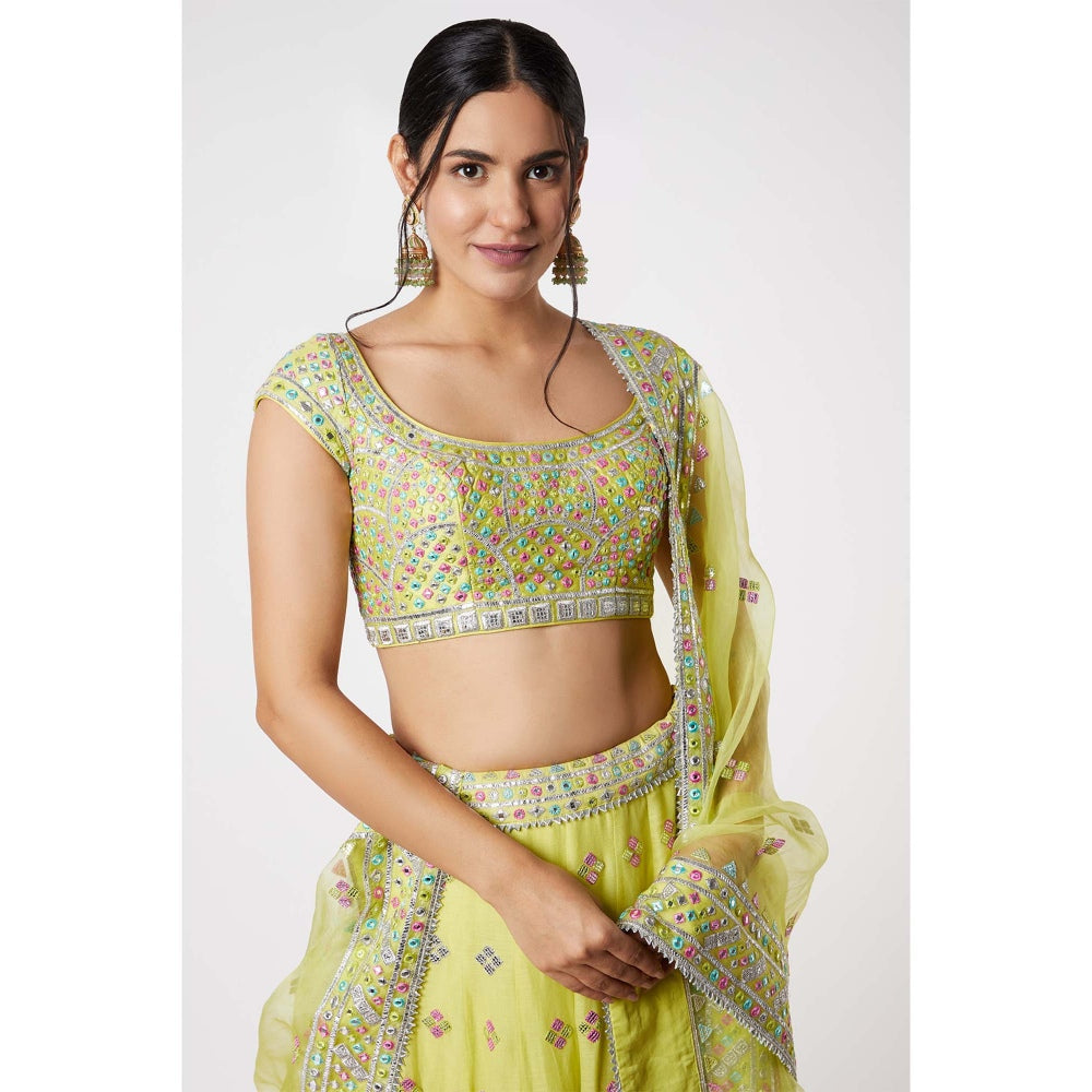 Gopi Vaid Noor Lehenga (Set of 3)