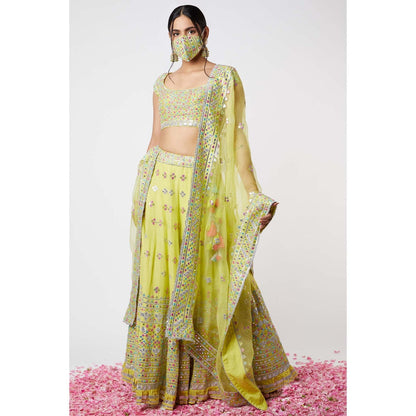 Gopi Vaid Noor Lehenga (Set of 3)