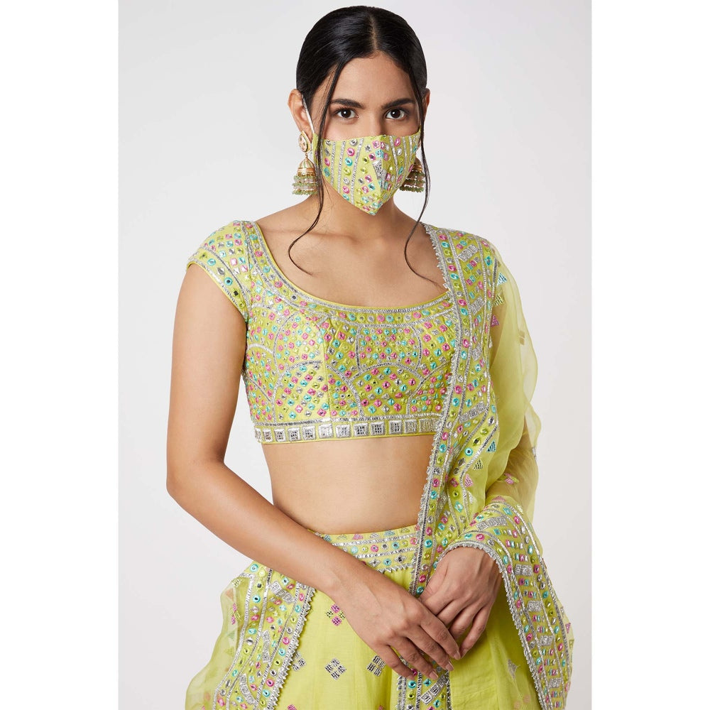 Gopi Vaid Noor Lehenga (Set of 3)