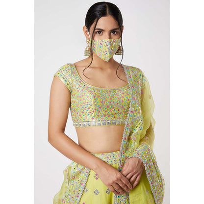 Gopi Vaid Noor Lehenga (Set of 3)