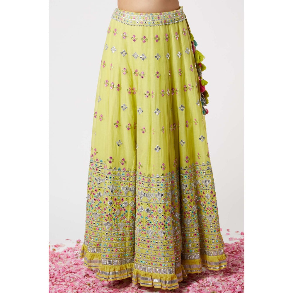 Gopi Vaid Noor Lehenga (Set of 3)