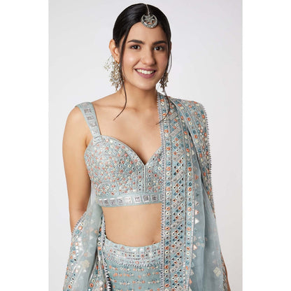 Gopi Vaid Noor Lehenga with Bustier (Set of 3)
