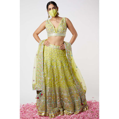 Gopi Vaid Noor Sleeveless Lehenga (Set of 3)